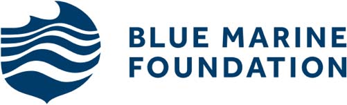 Blue Marine Foundation logo