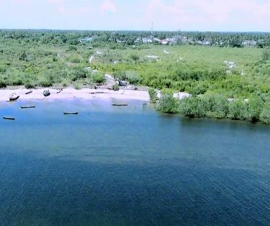 Yacht Carbon Offset blue carbon mangroves